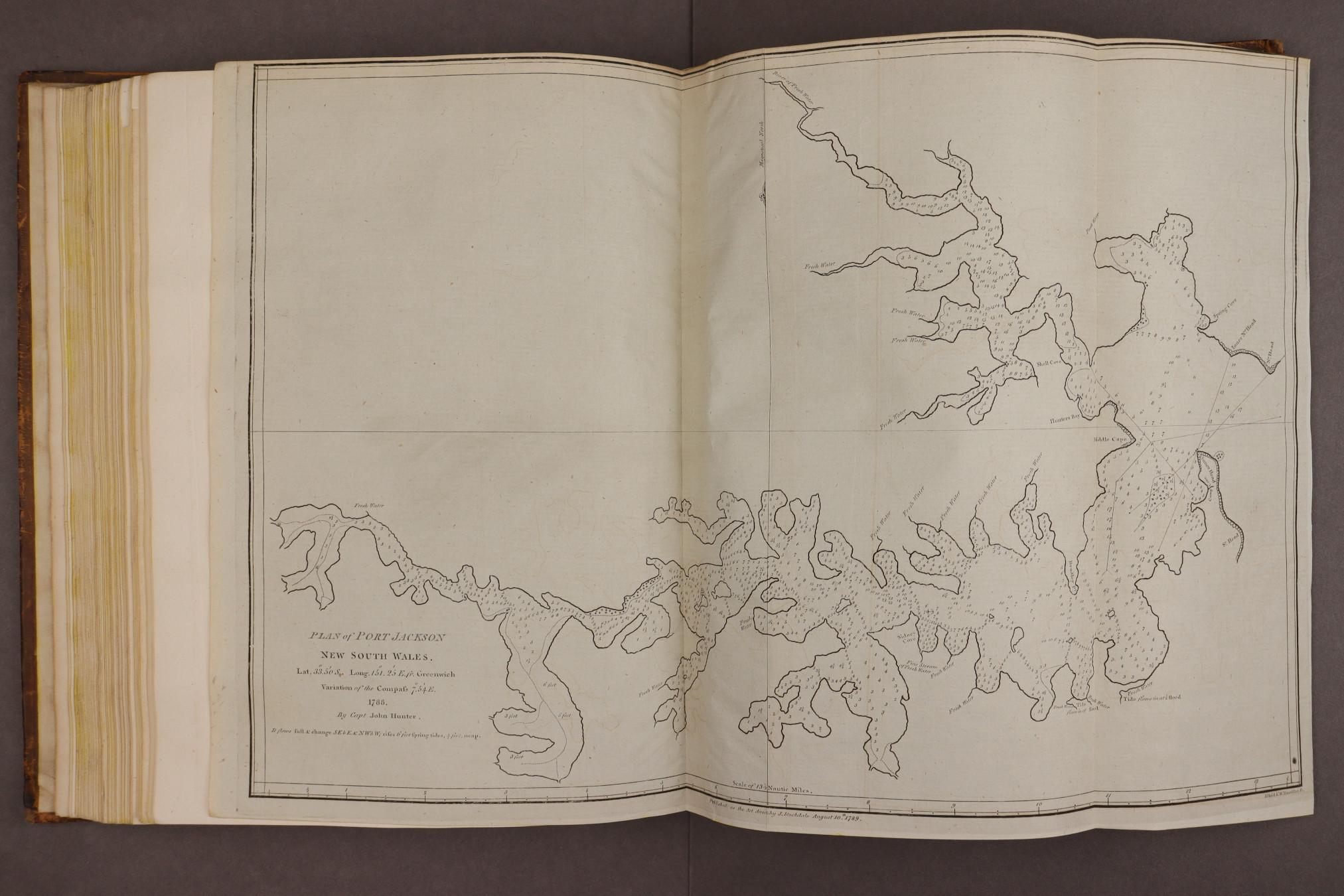 Plate 14